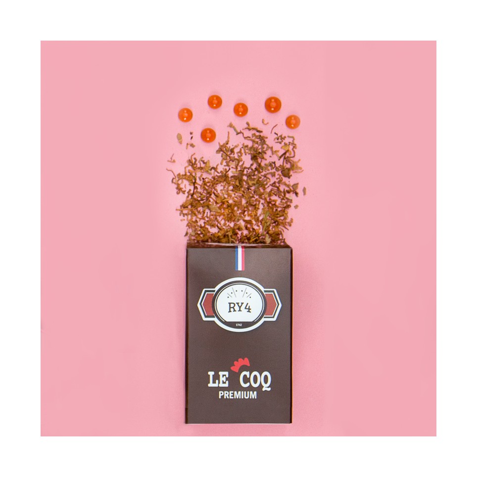 chargement de l'image